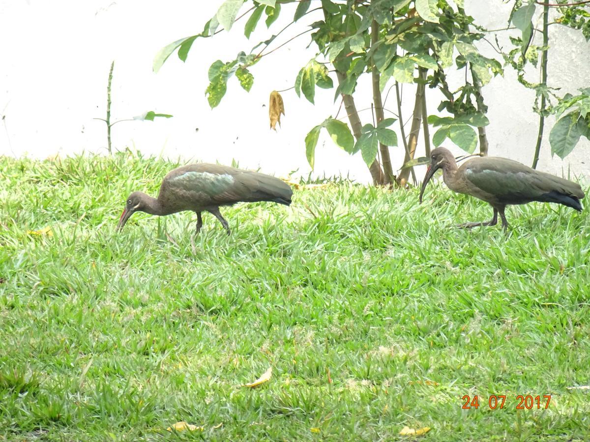 Kivu Beach Garden Гисеньи Экстерьер фото